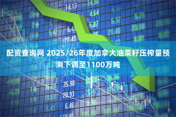 配资查询网 2025/26年度加拿大油菜籽压榨量预测下调至1100万吨