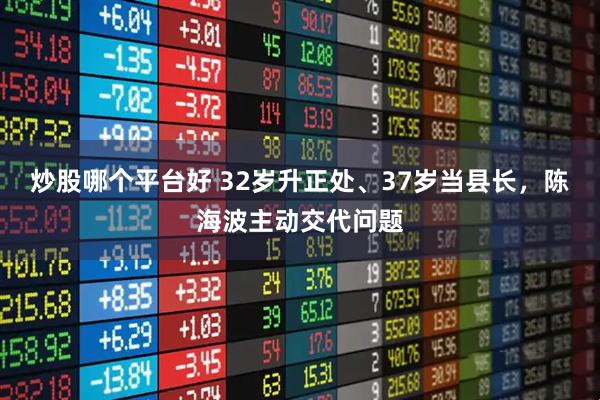 炒股哪个平台好 32岁升正处、37岁当县长，陈海波主动交代问题